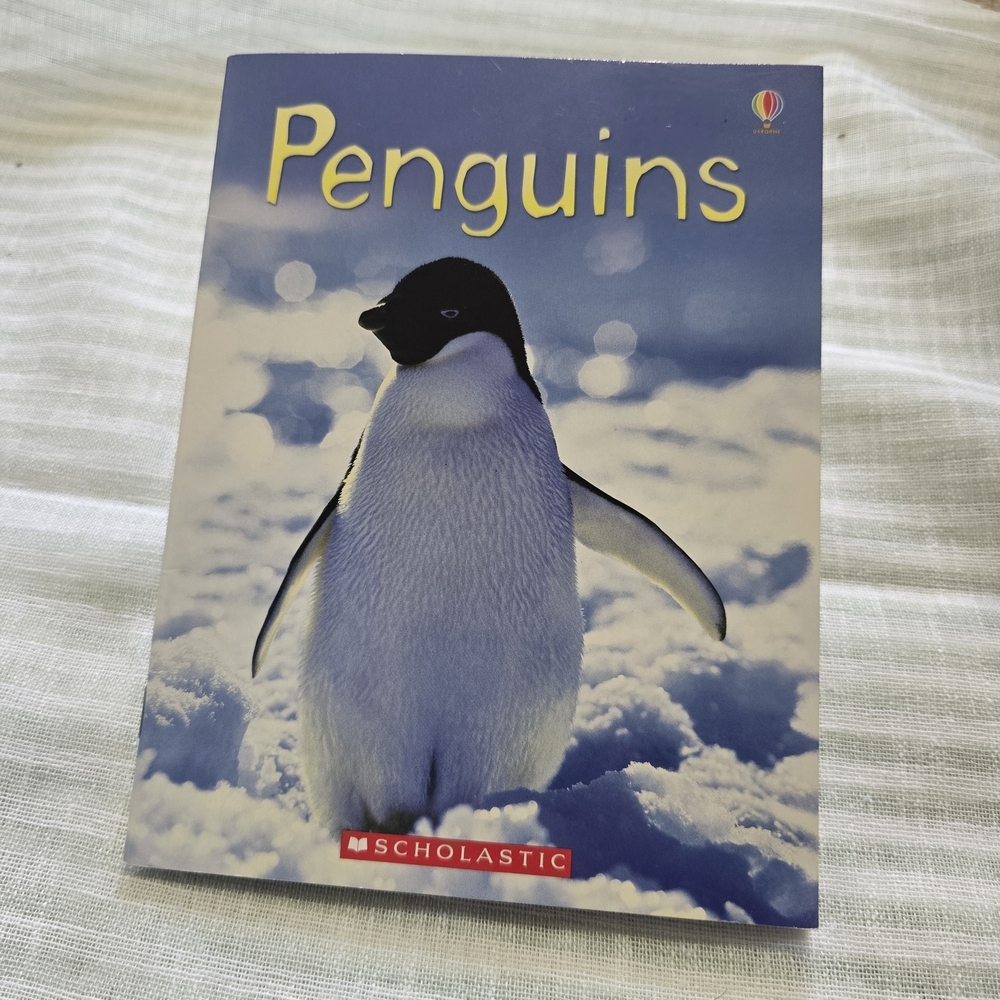 Scholastic Penguins Children's Educational Book